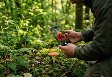 Náhledový obrázek pro článek s tipem na Google Lens. Popisuji, jak moc může pomoci v přírodě, s překladem v obchodě atd.